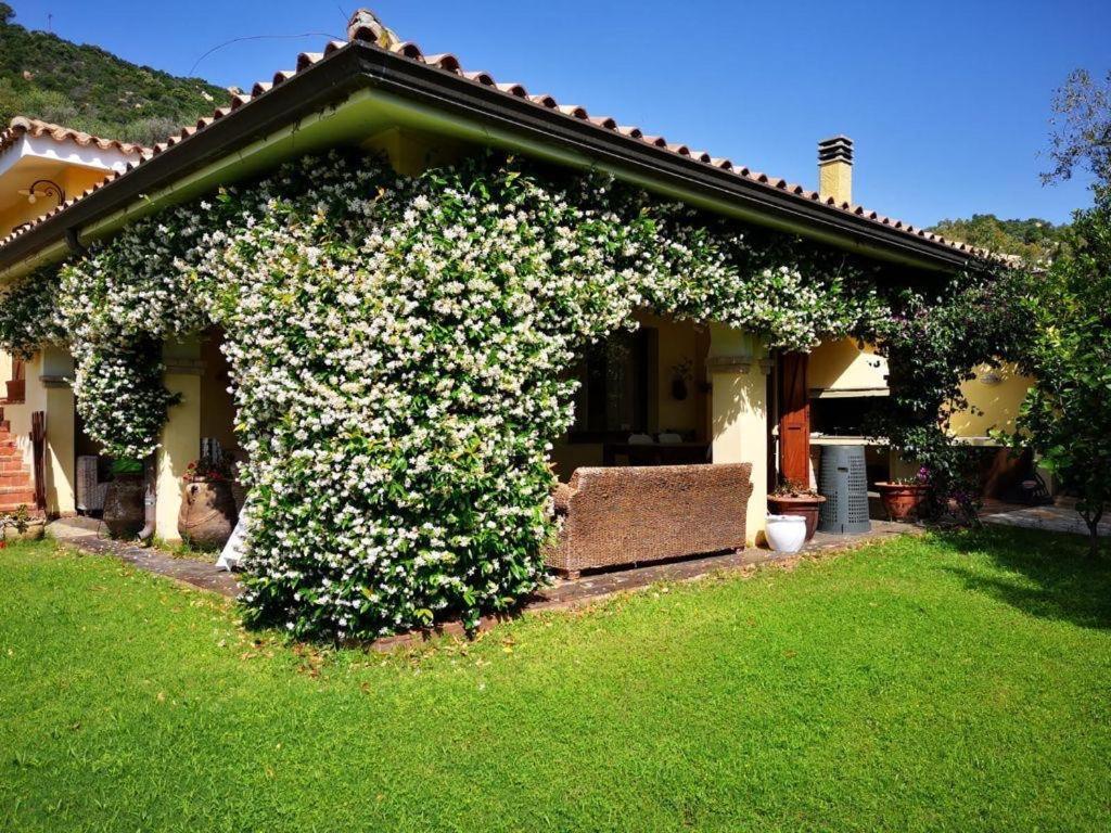 Villa Emilietta Villasimius Exterior photo